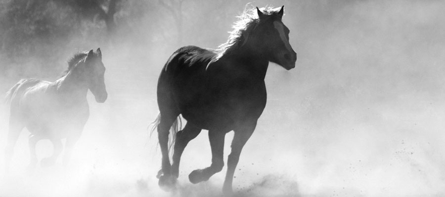 Gesucht: Unterstützung für unser Backoffice