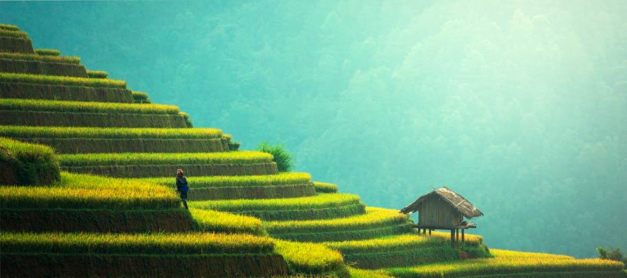 Die mit dem OOOH und AAAH!