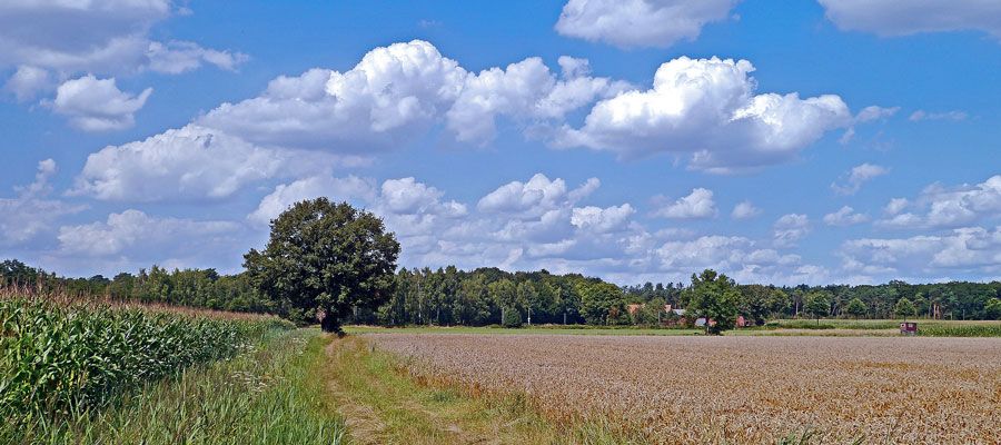 Münsterland