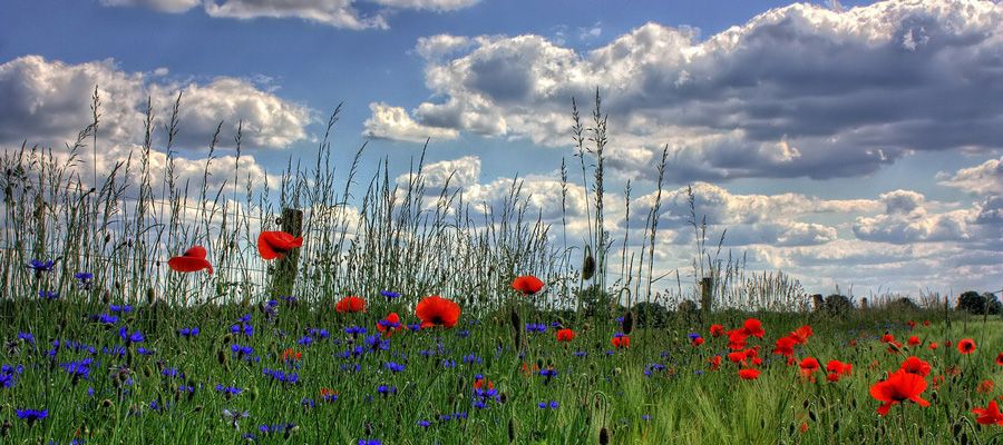 Es kann so einfach sein.
